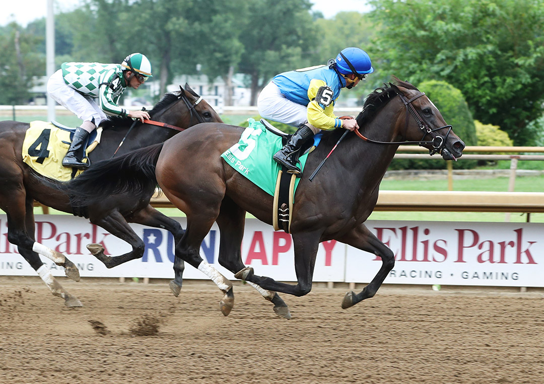 Carribean Caper wins the 2021 Audubon Oaks at Ellis Park
