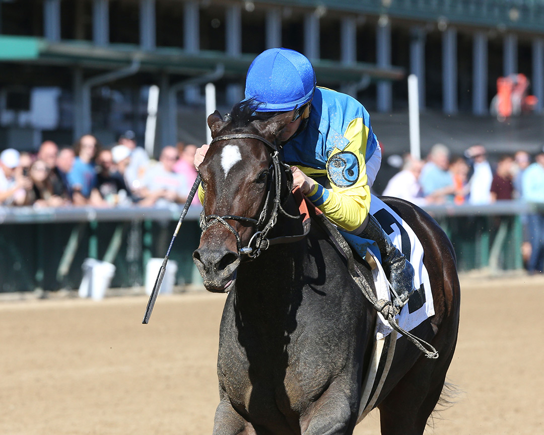 Carribean Caper wins the 2021 Dogwood Stakes at Churchill Downs