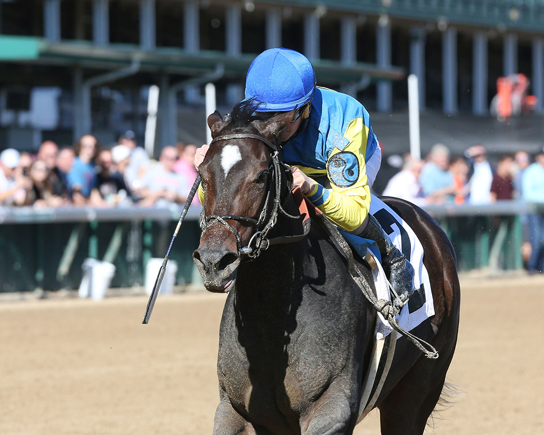 Carribean Caper wins the 2021 Dogwood Stakes at Churchill Downs