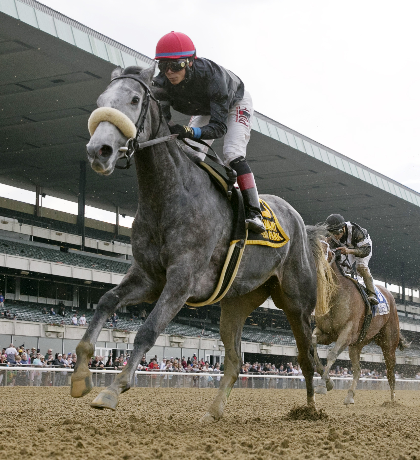 Carrumba finishes second in the Ruffian