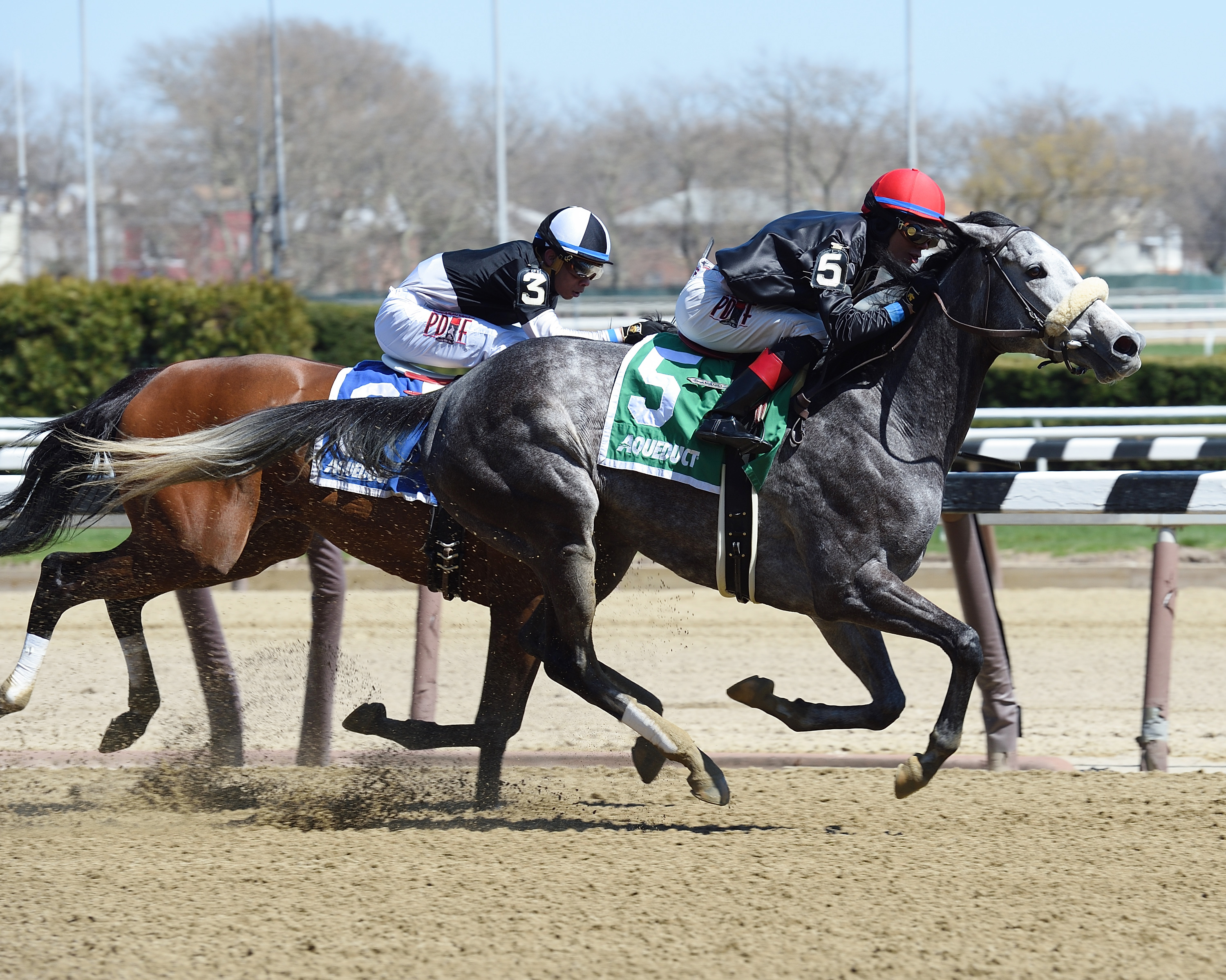 Carrumba wins the Top Flight Invitational Handicap