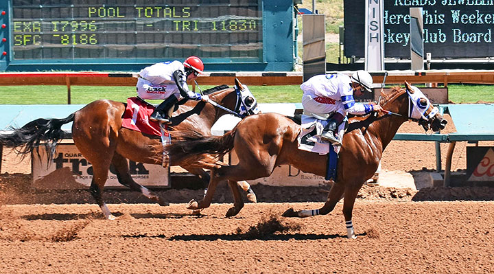 Cartel Charly wins a 2019 All American Quarter Horse Futurity Trial at Ruidoso Downs