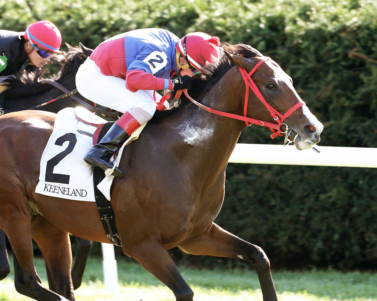 Cartoon wins an Oct. 19, 2017, allowance race