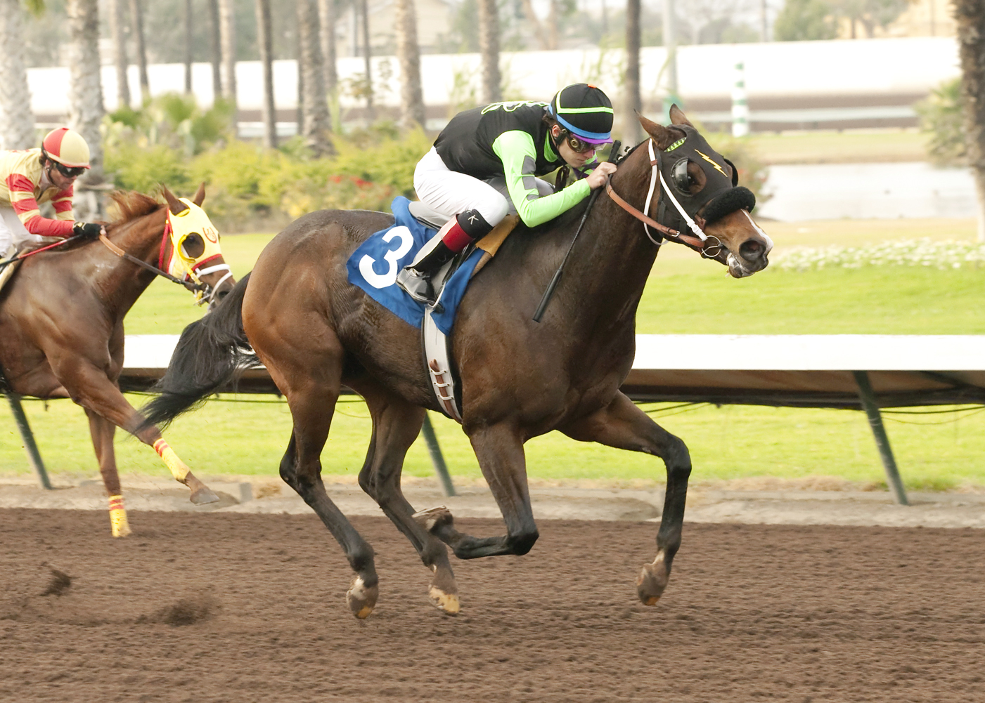 Cartoonist wins an optional claimer on Dec. 10, 2015