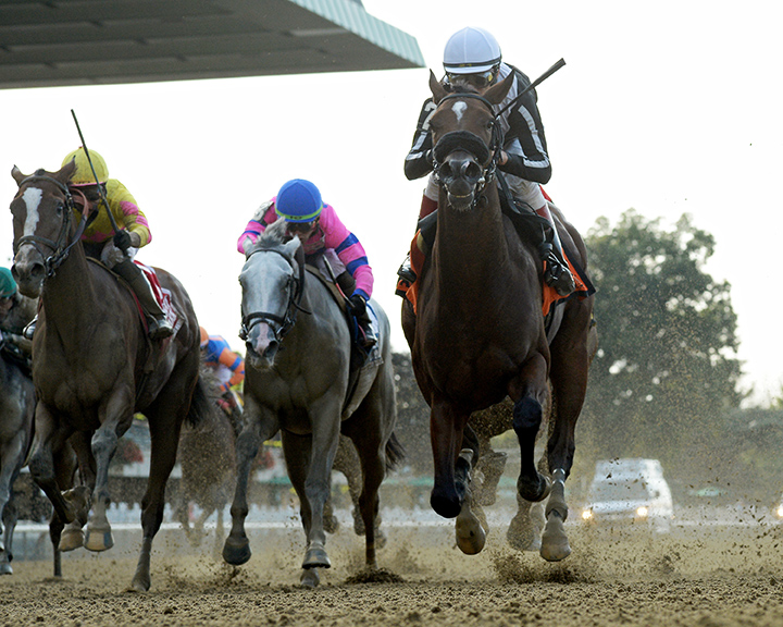 Cartwheelin Lulu wins the 2018 Joseph A. Gimma Stakes