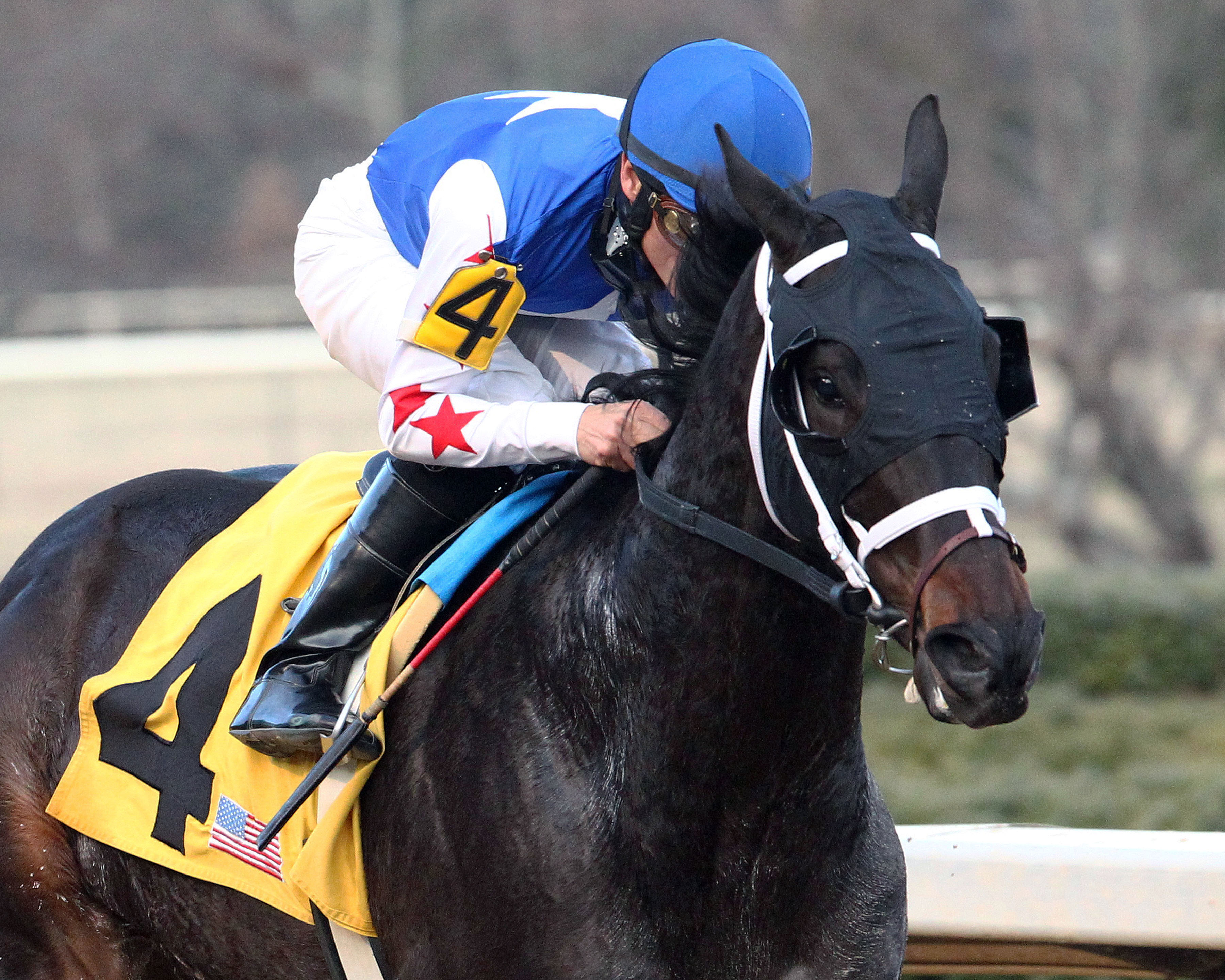 Carve wins the Fifth Season