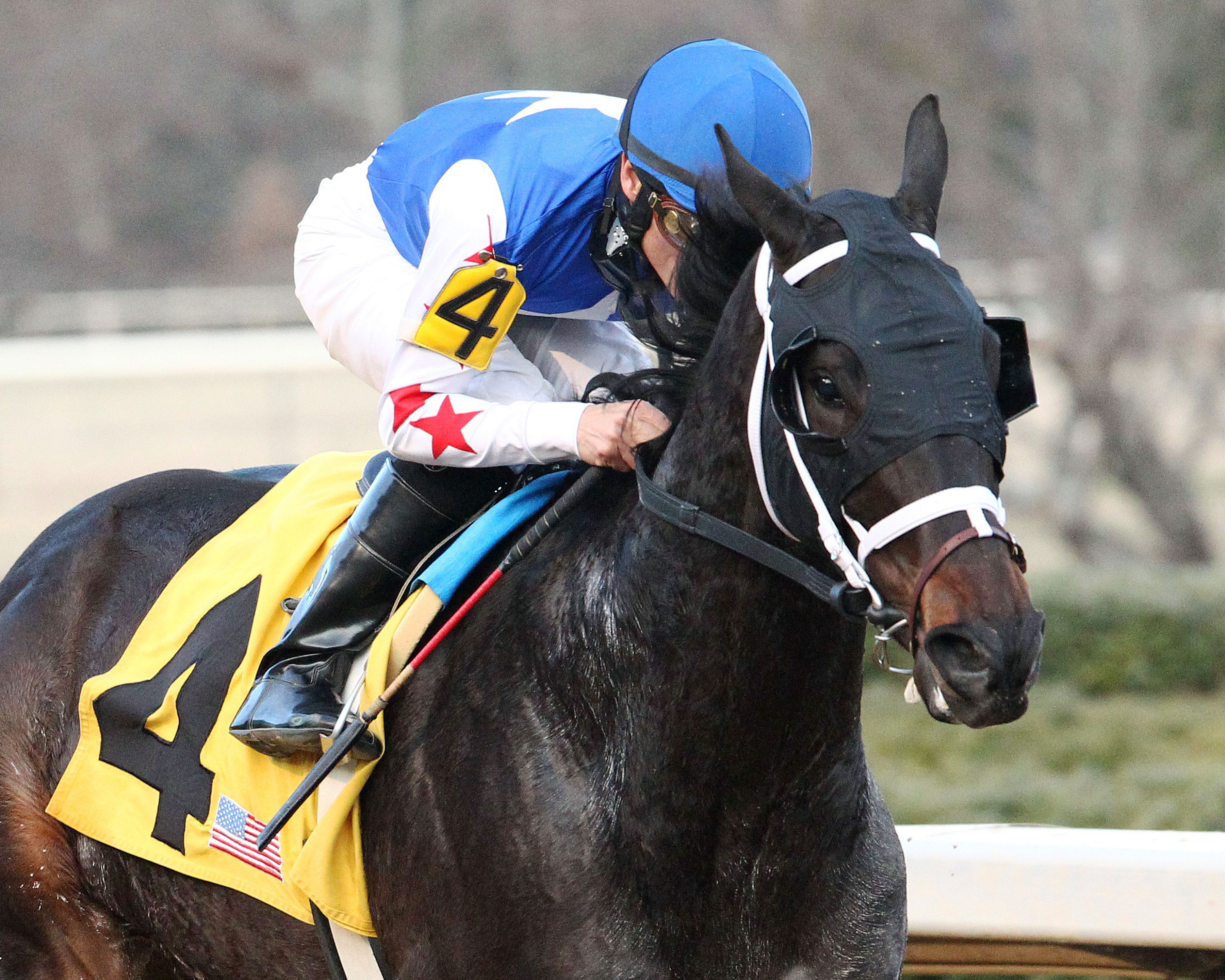 Carve wins the Fifth Season