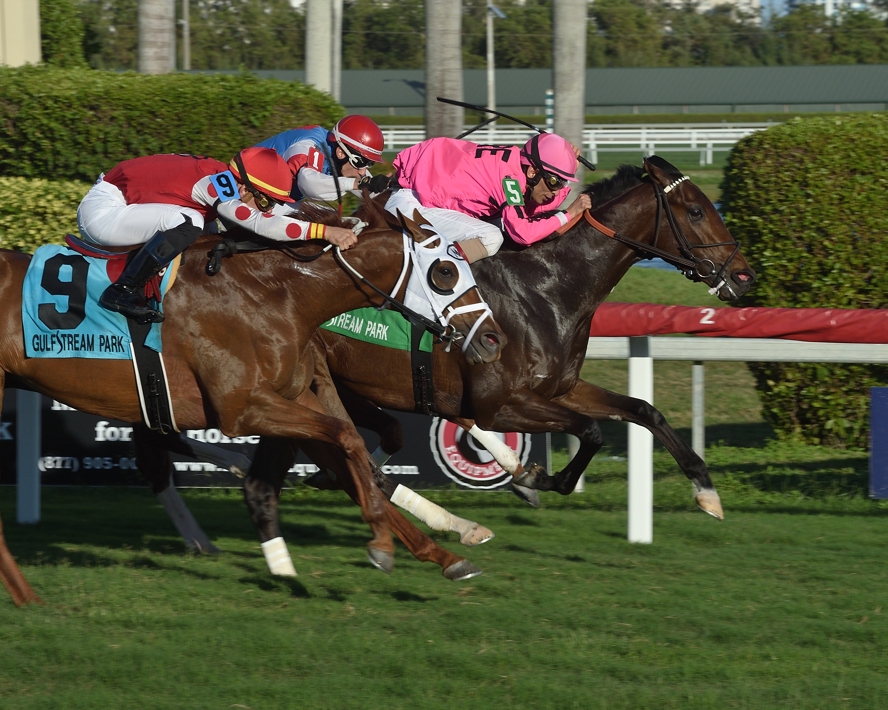 Casa Creed wins the 2018 Kitten-s Joy
