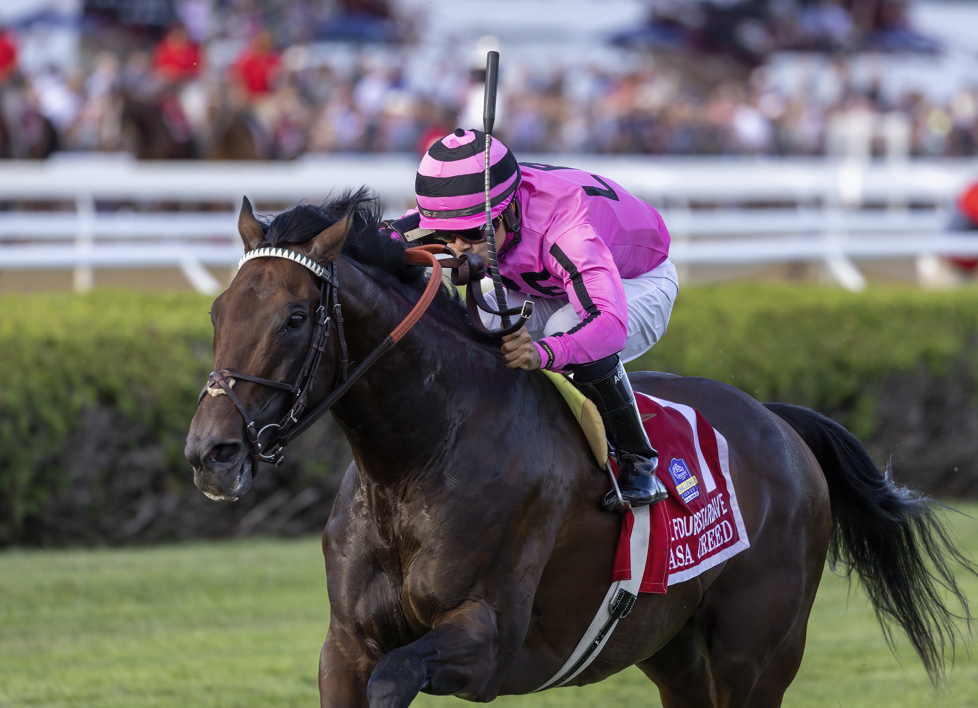 Casa Creed wins Fourstardave 8-13-2022