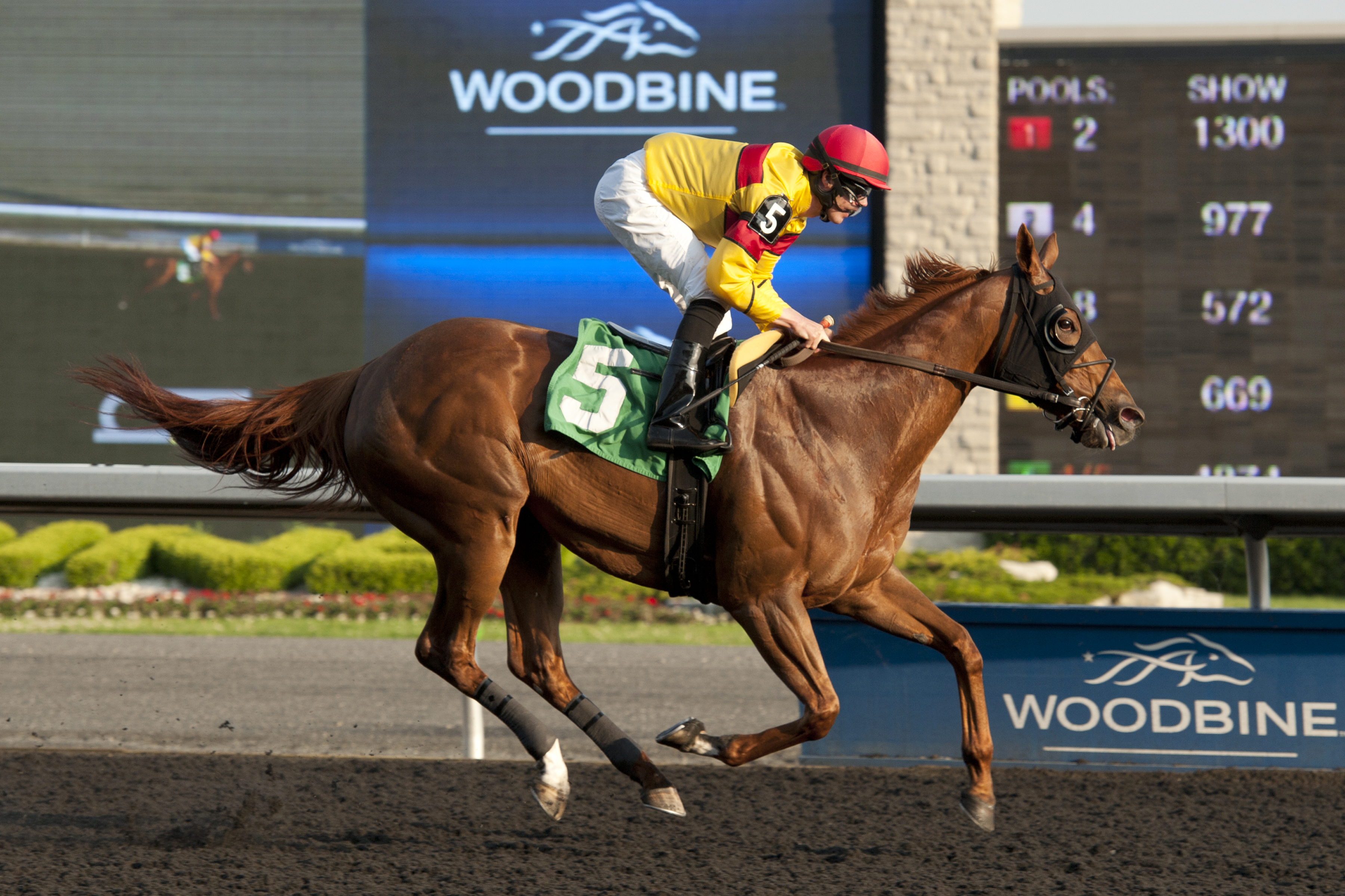 Casablanca Kiss wins a claiming race