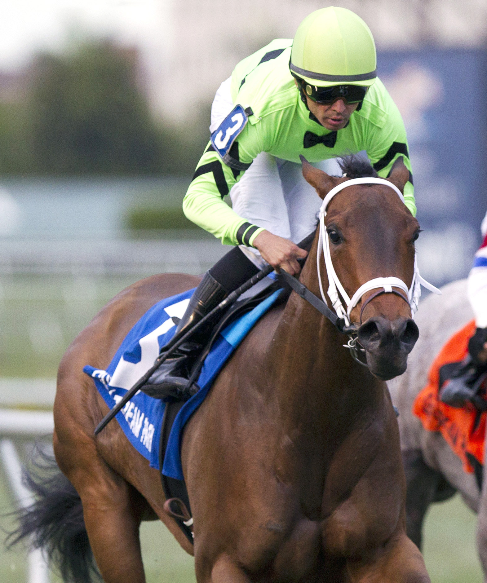 Cash Back wins the Melody of Colors Stakes
