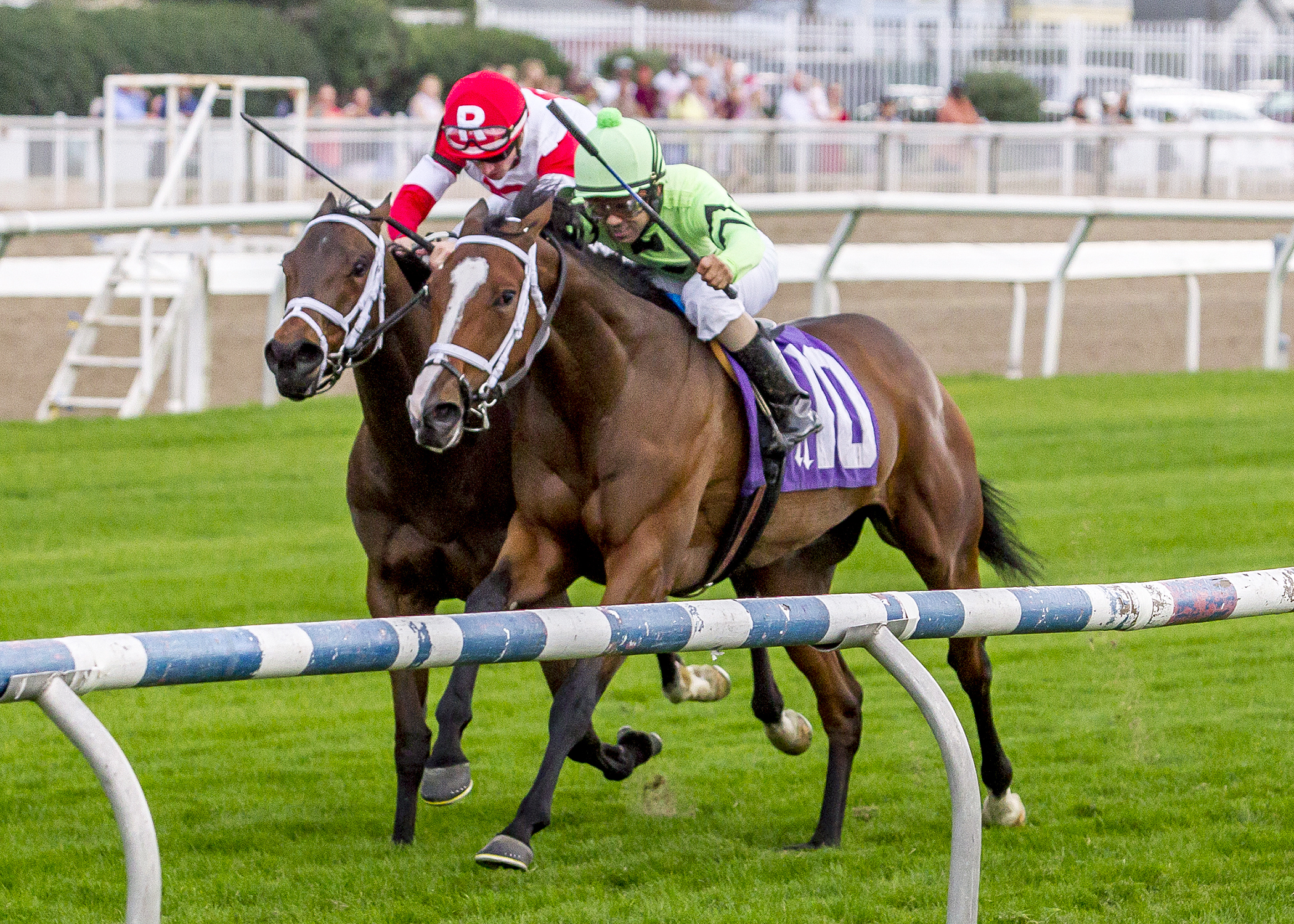 Cash Control wins the 2016 Blushing KD Stakes