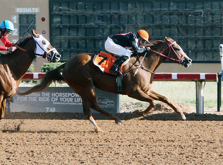 Cashcheckorcharge wins the 2019 Chaves County Stakes at Zia Park