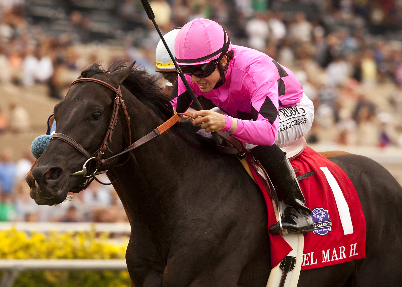 Casino Host/Del Mar Handicap