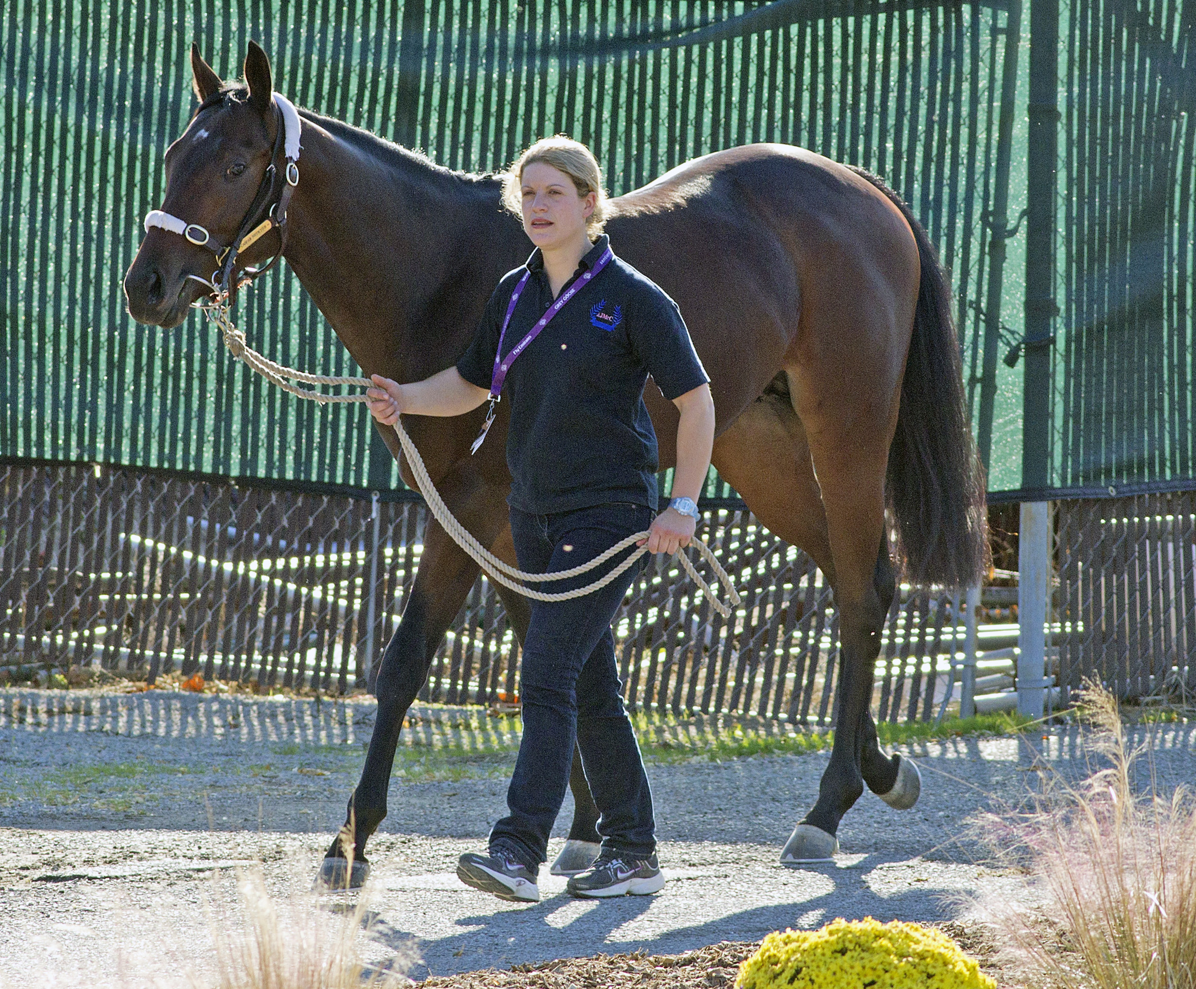 Caspar Netscher at Churchill Downs