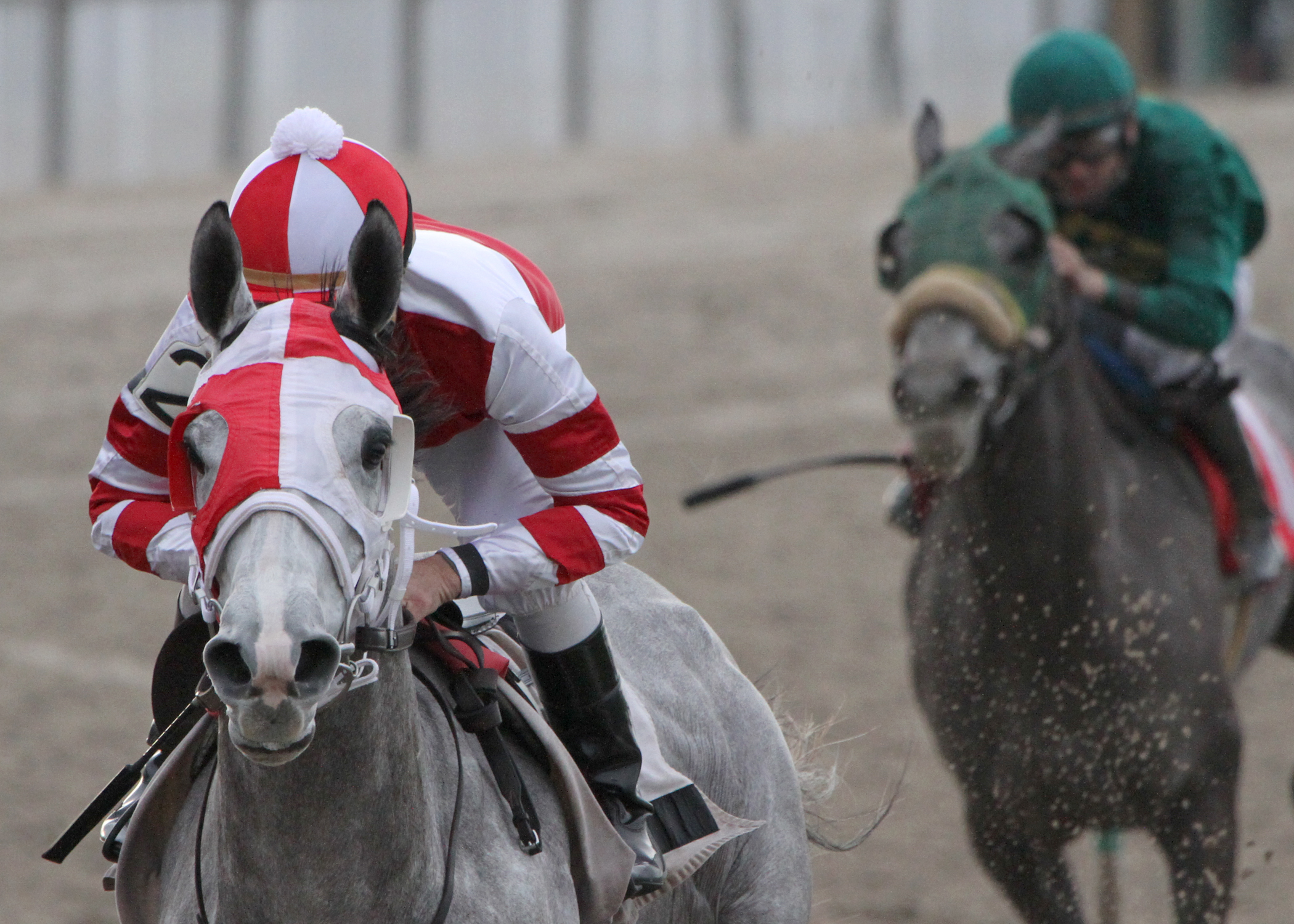 Cassatt wins 2014 Tiffany Lass