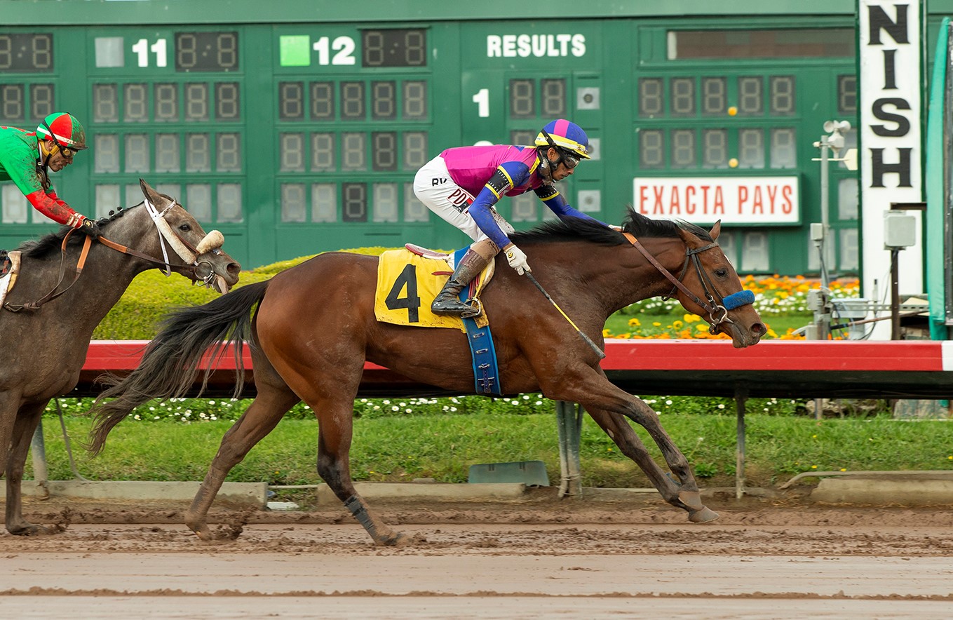 Cast Member wins the Soviet Problem at Los Alamitos Dec 11 2022.