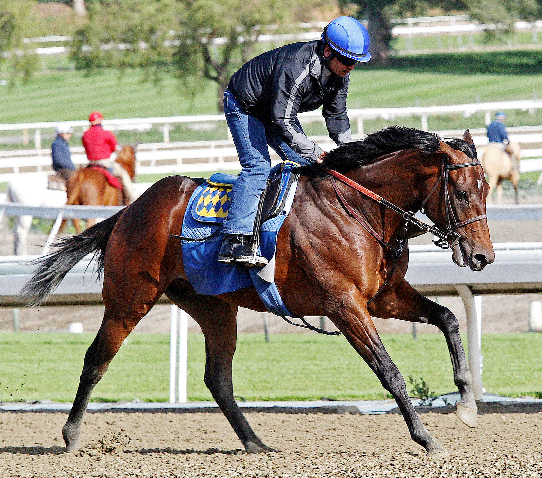 Sunland Park: Castaway, Daddy Nose Best square off in Sunland Derby