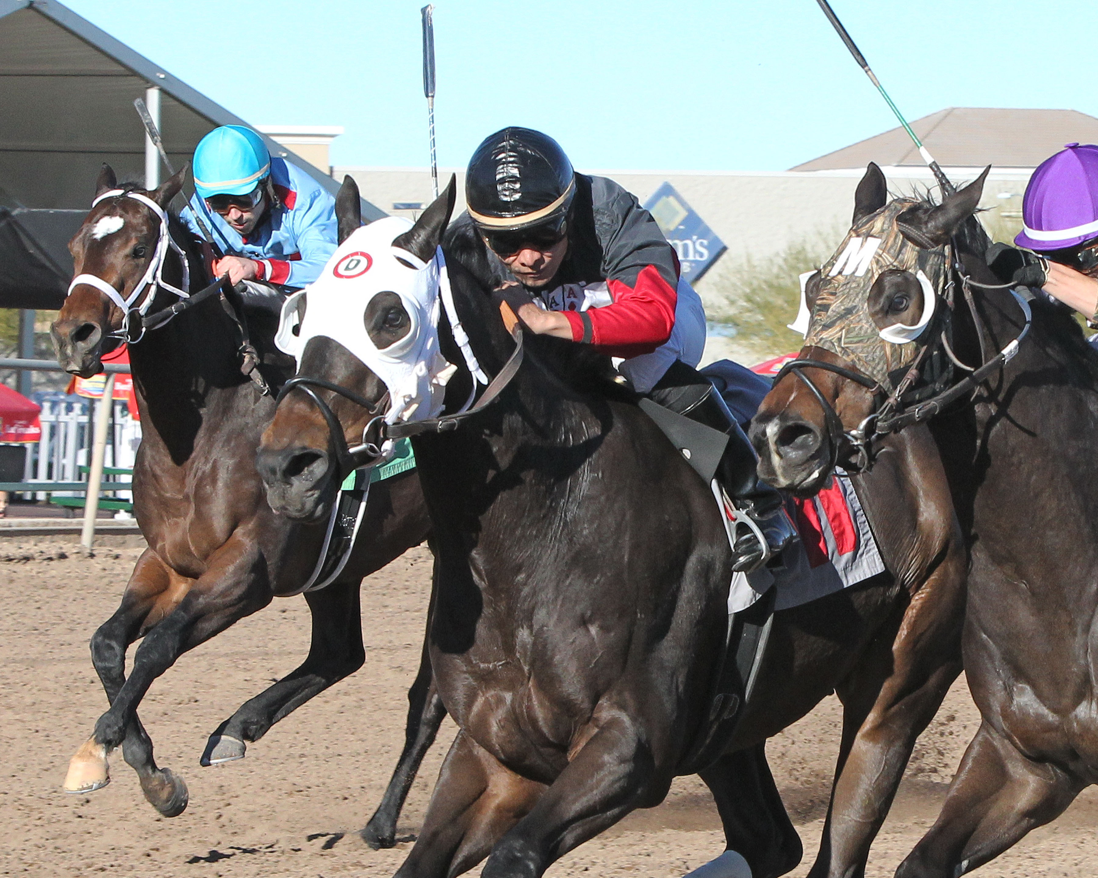 Castletown 1-24-2015