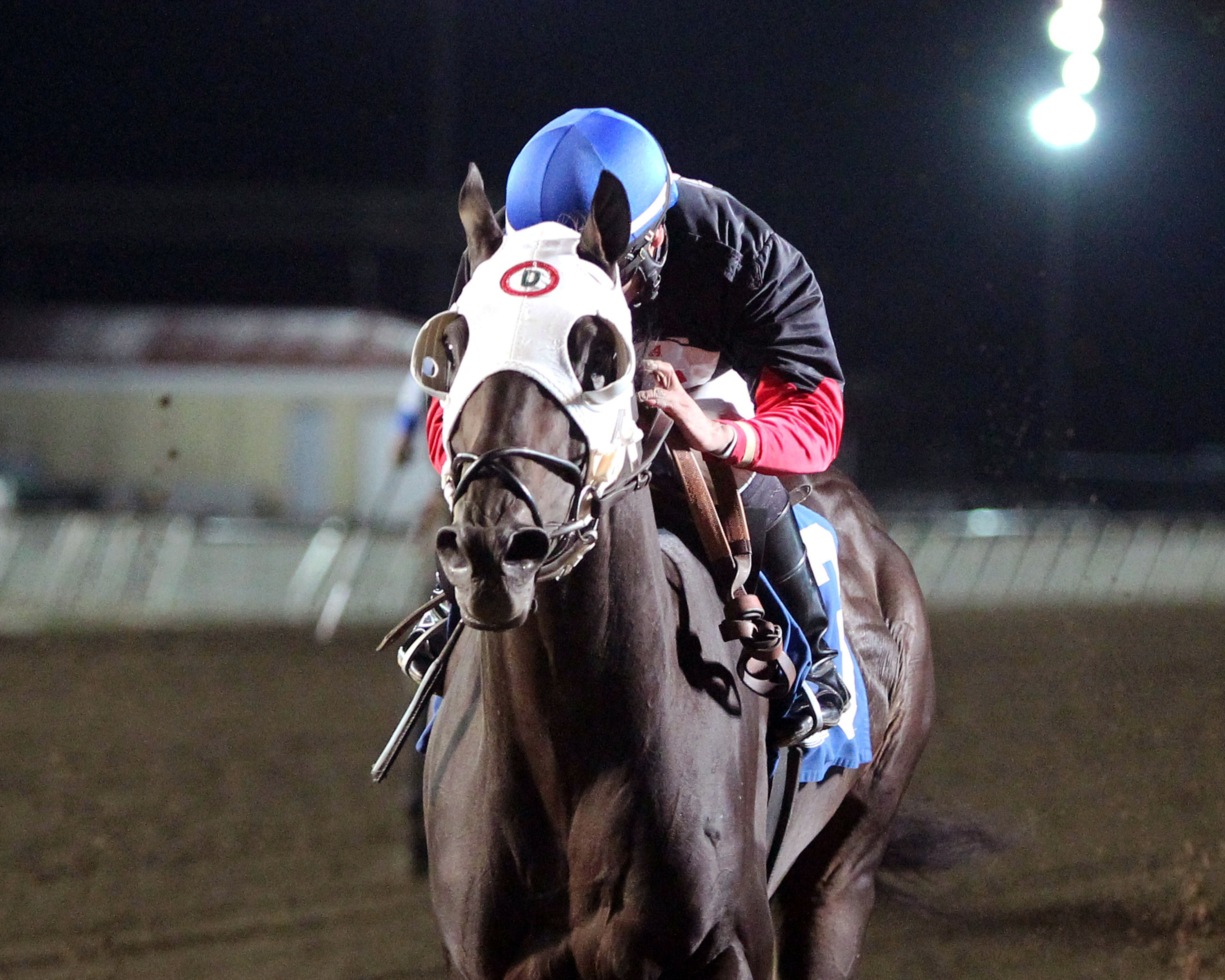 Castletown wins the H.B.P.A. Sprint Overnight Stakes