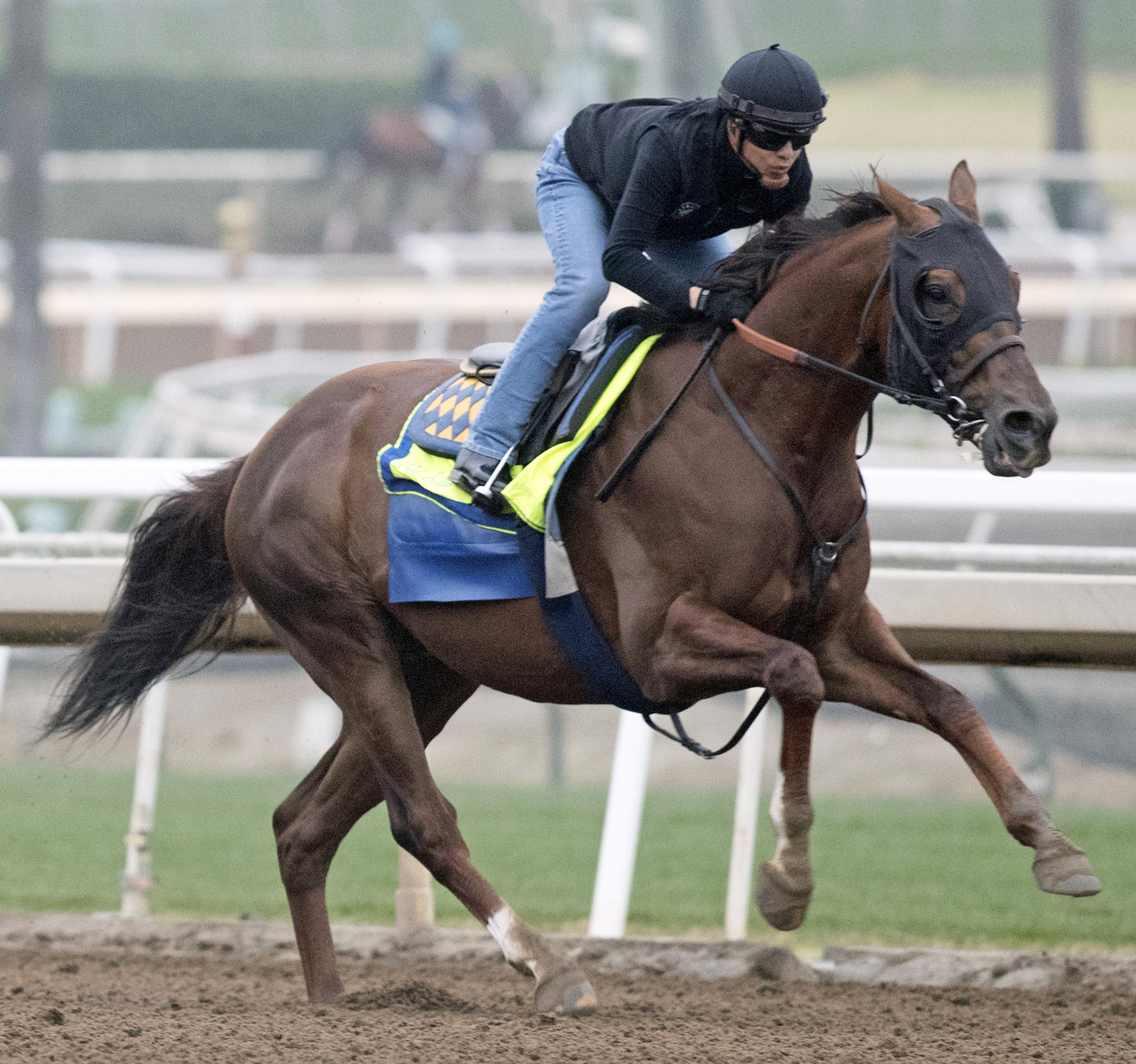Cat Burglar trains at Santa Anita on March 10