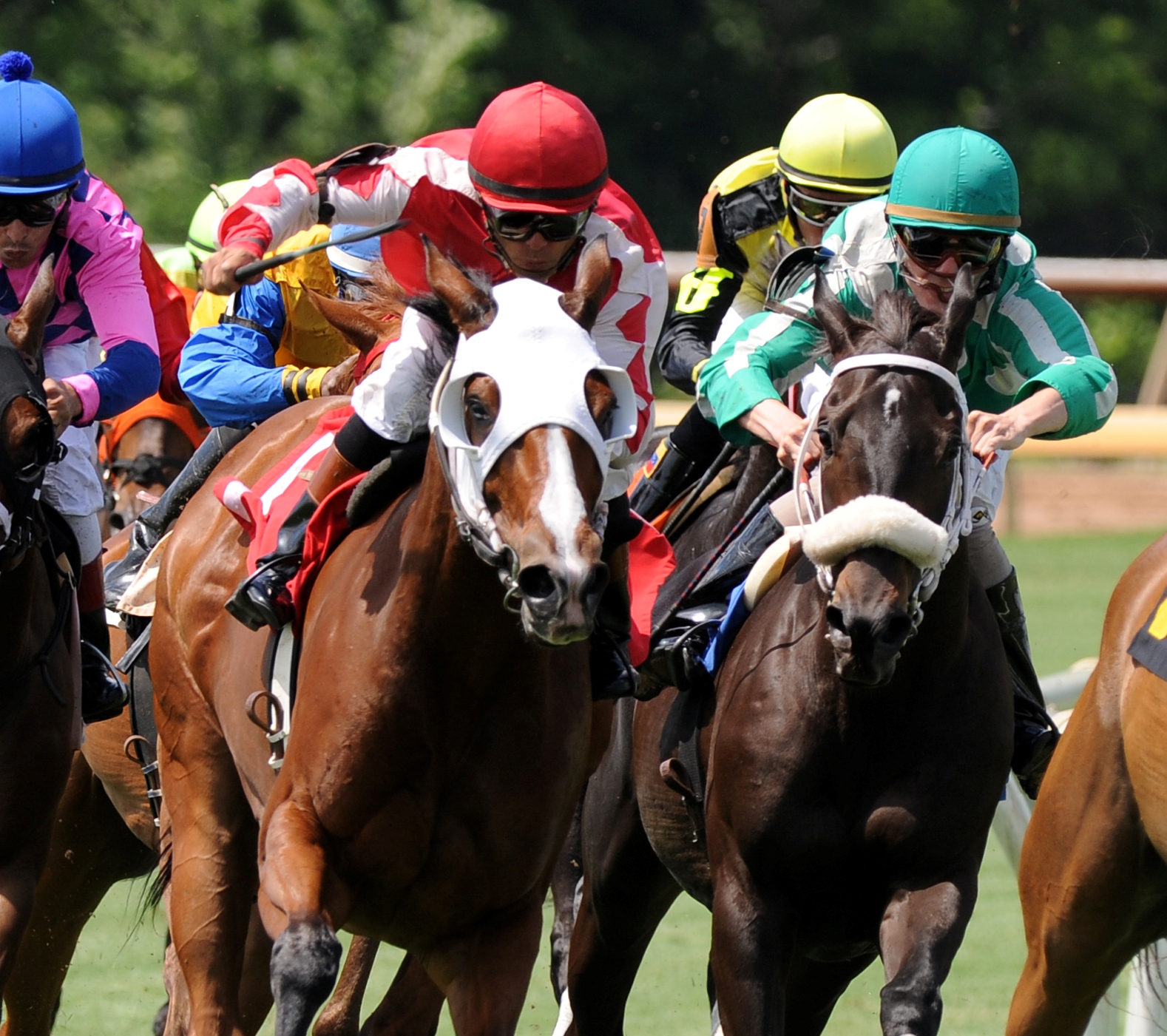 Cat Eyes, Louisiana Cup Ladies, May 2010