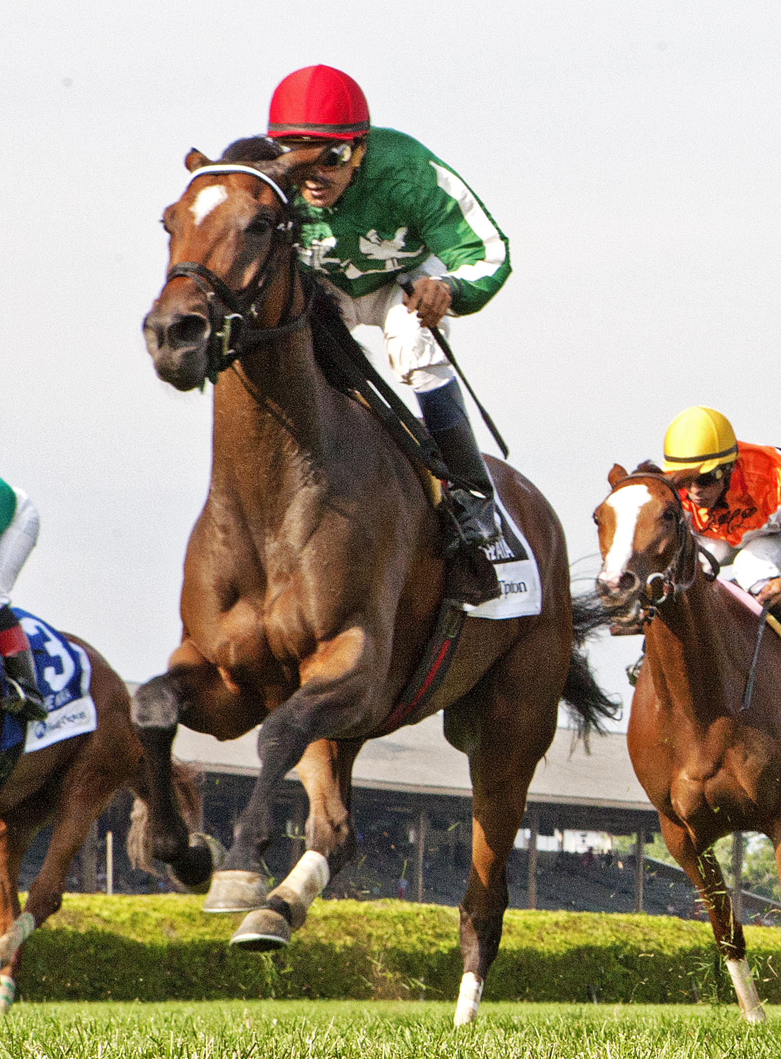 Cat's Claw wins 2014 Waya