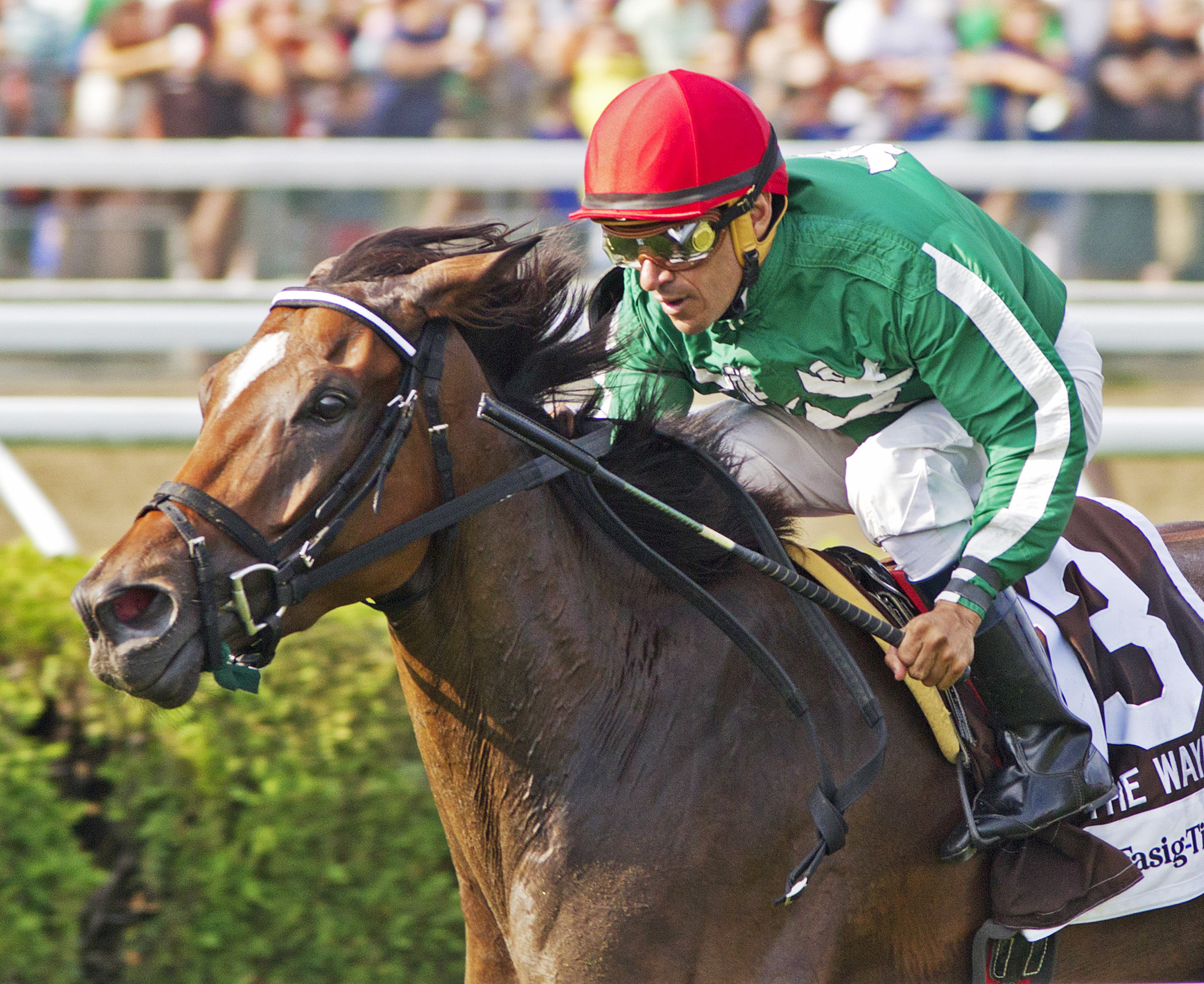 Cat's Claw wins the 2014 Waya Stakes