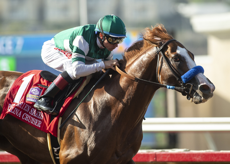 Catalina Cruiser wins 2018 Pat O'Brien Stakes