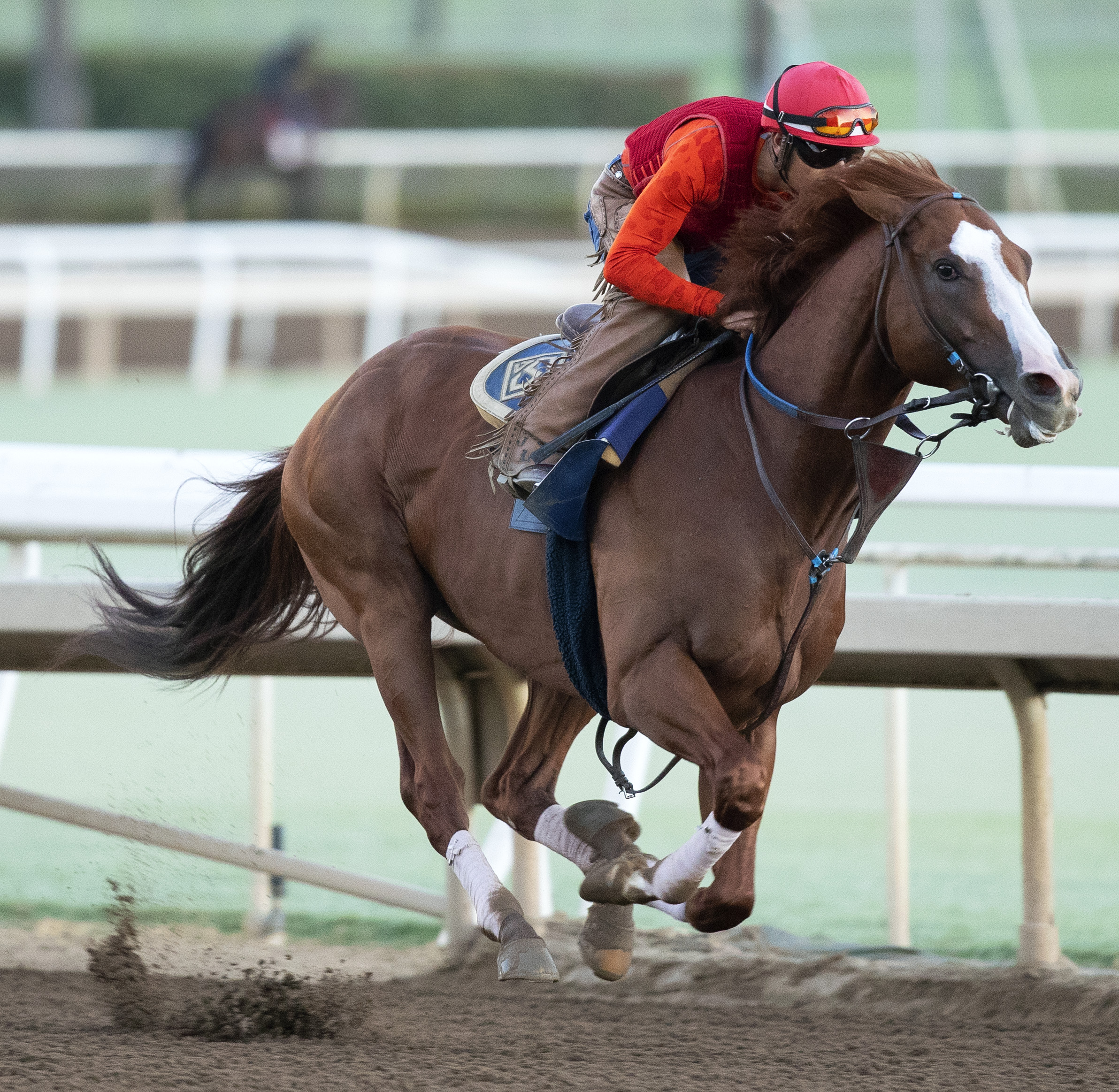 Catalina Cruiser at Santa Anita 9.16.18