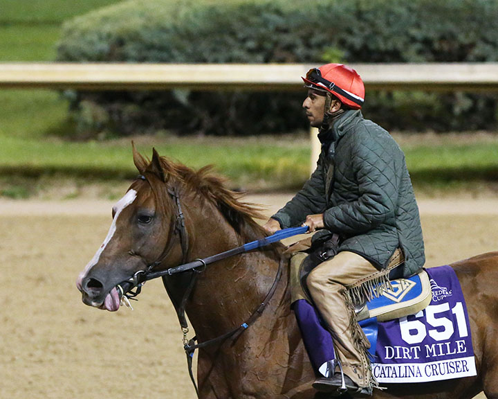 Catalina Cruiser at Churchill on Oct. 29