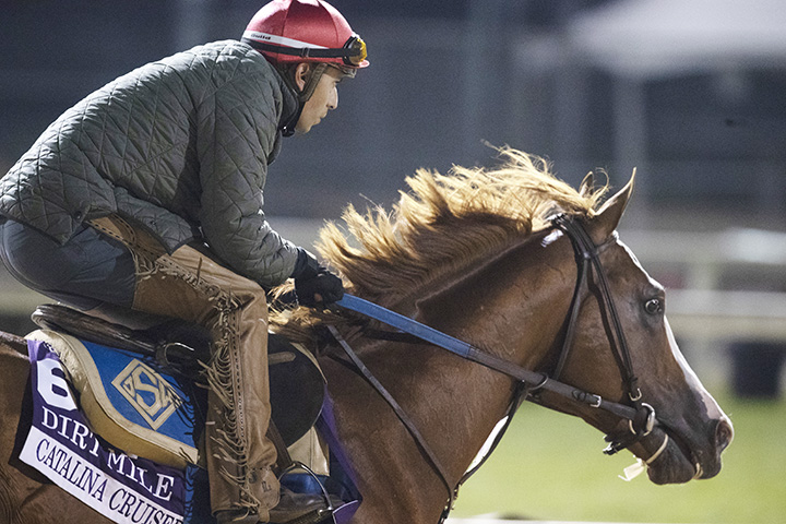 Catalina Cruiser trains at Churchill before the Breeders Cup