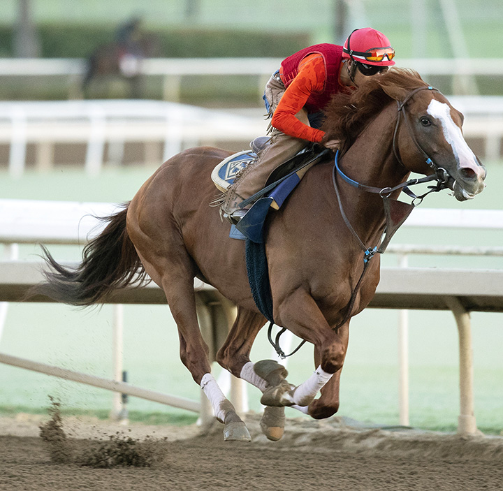 Catalina Cruiser trains at Santa Anita on Sept. 16