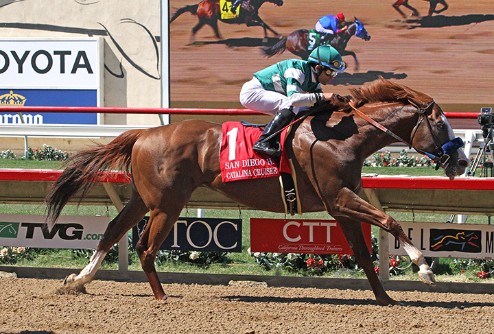 Catalina Cruiser wins the 2019 San Diego Handicap at Del Mar