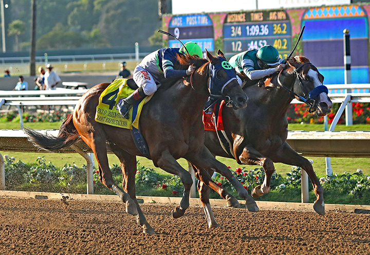 Giant Expectations finishes second to Catalina Cruiser in the Pat O'Brien Stakes at Del Mar