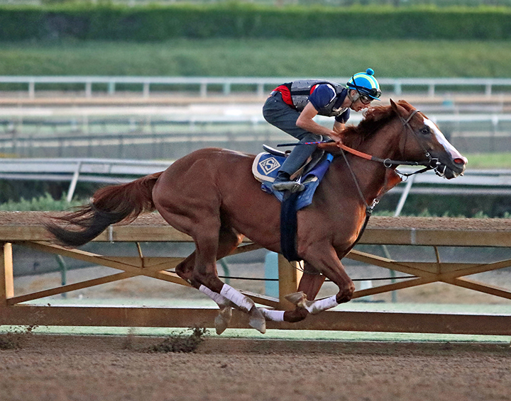 Catalina Cruiser trains at Santa Anita Park on Sept. 21