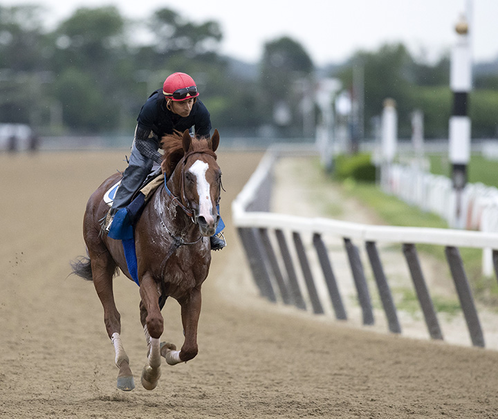 Catalina Cruiser trains at Belmont on June 5