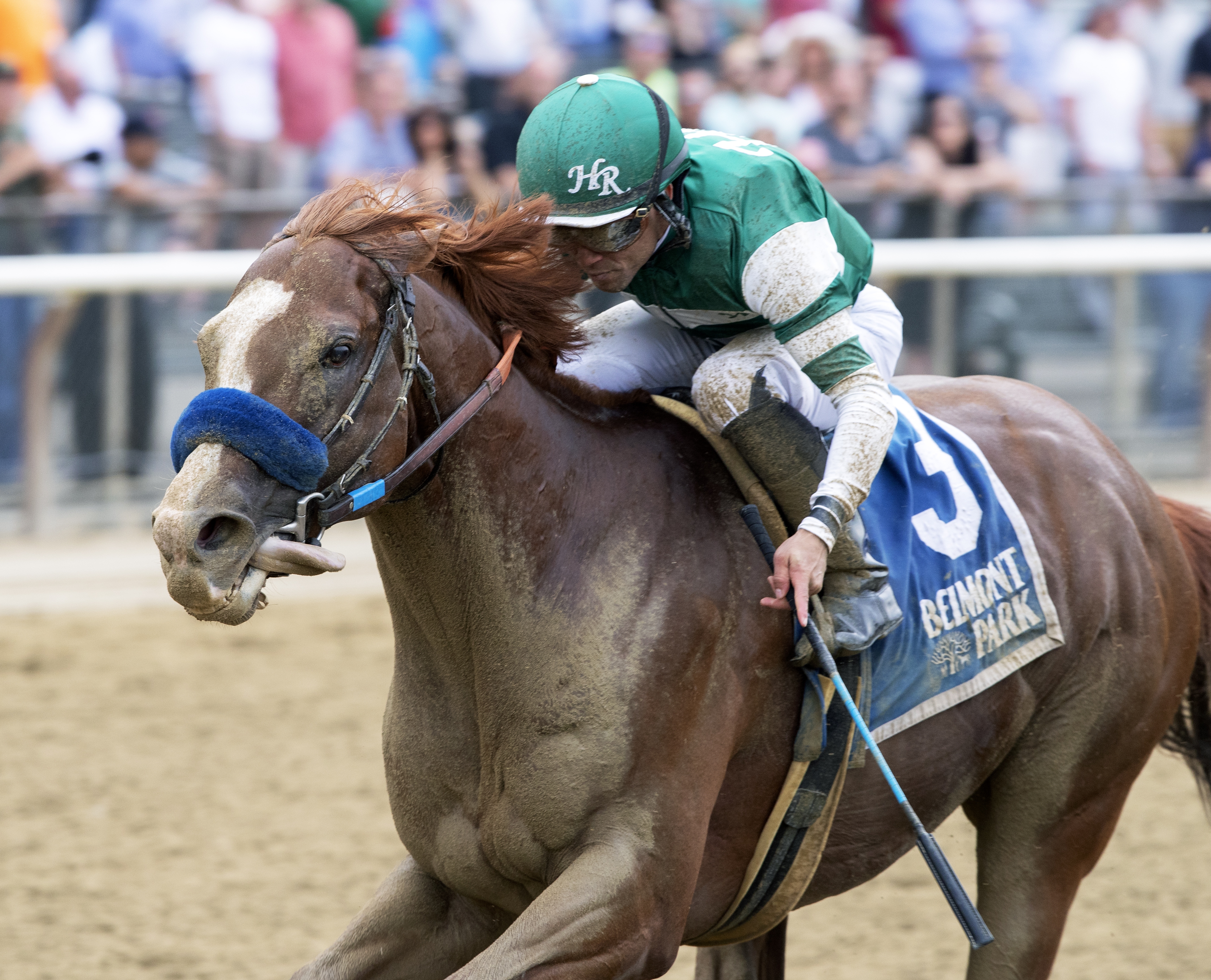 Catalina Cruiser wins the 2019 True North Stakes