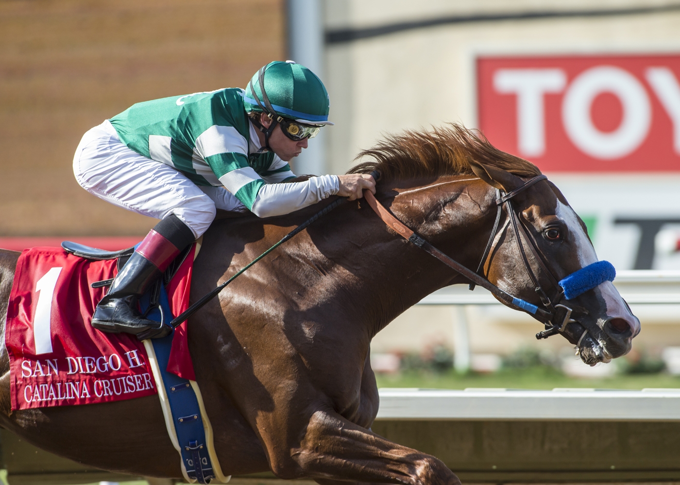 Catalina Cruiser wins the 2018 San Diego Stakes