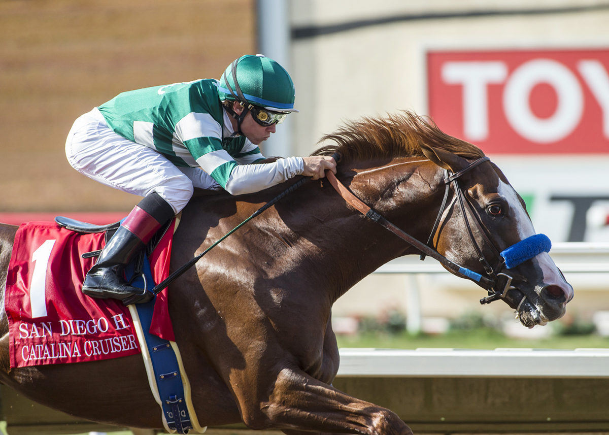 Catalina Cruiser wins the San Diego Handicap