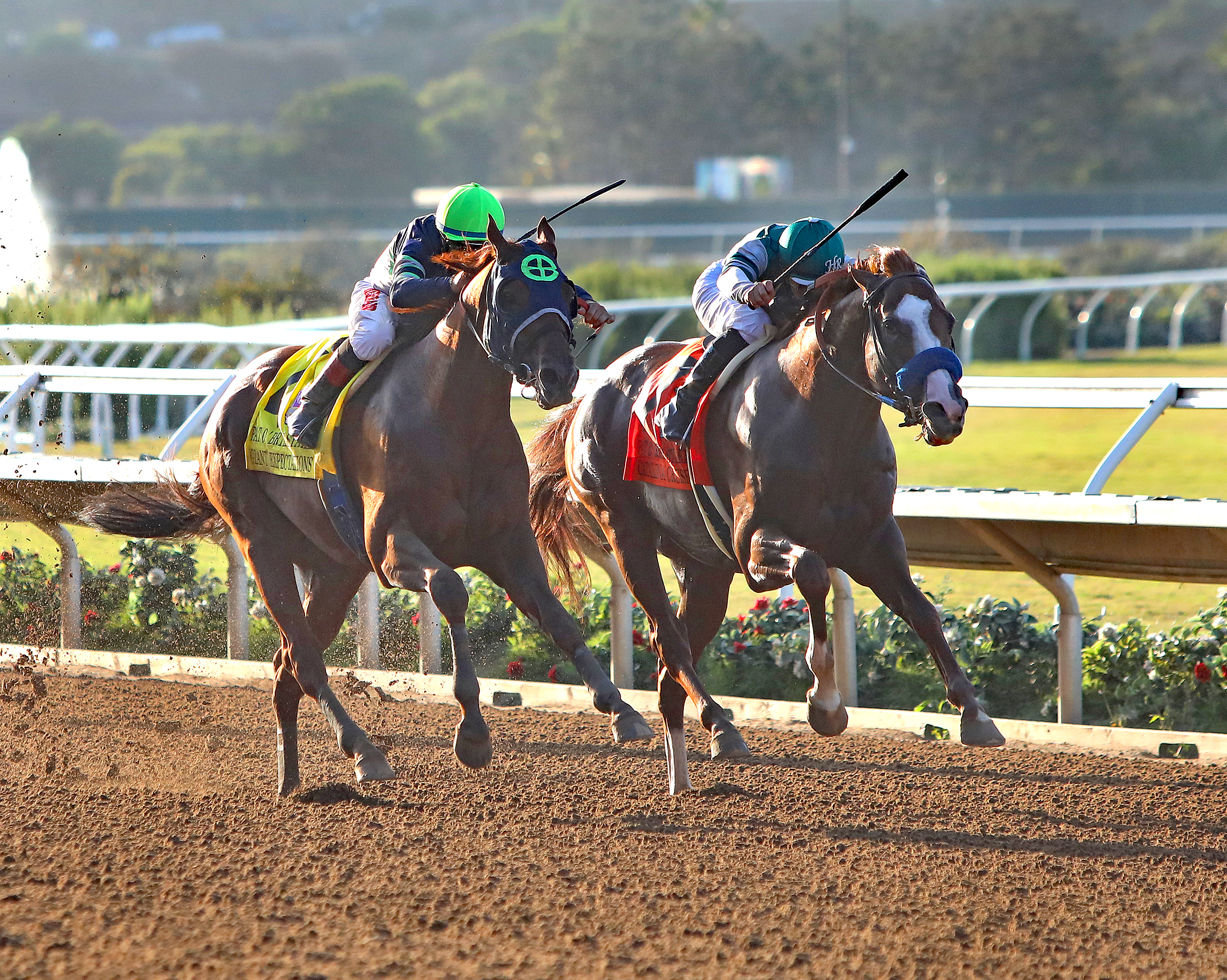 Catalina Cruiser (inside) duels with Giant Expectations in the 2019 Pat O'Brien Stakes