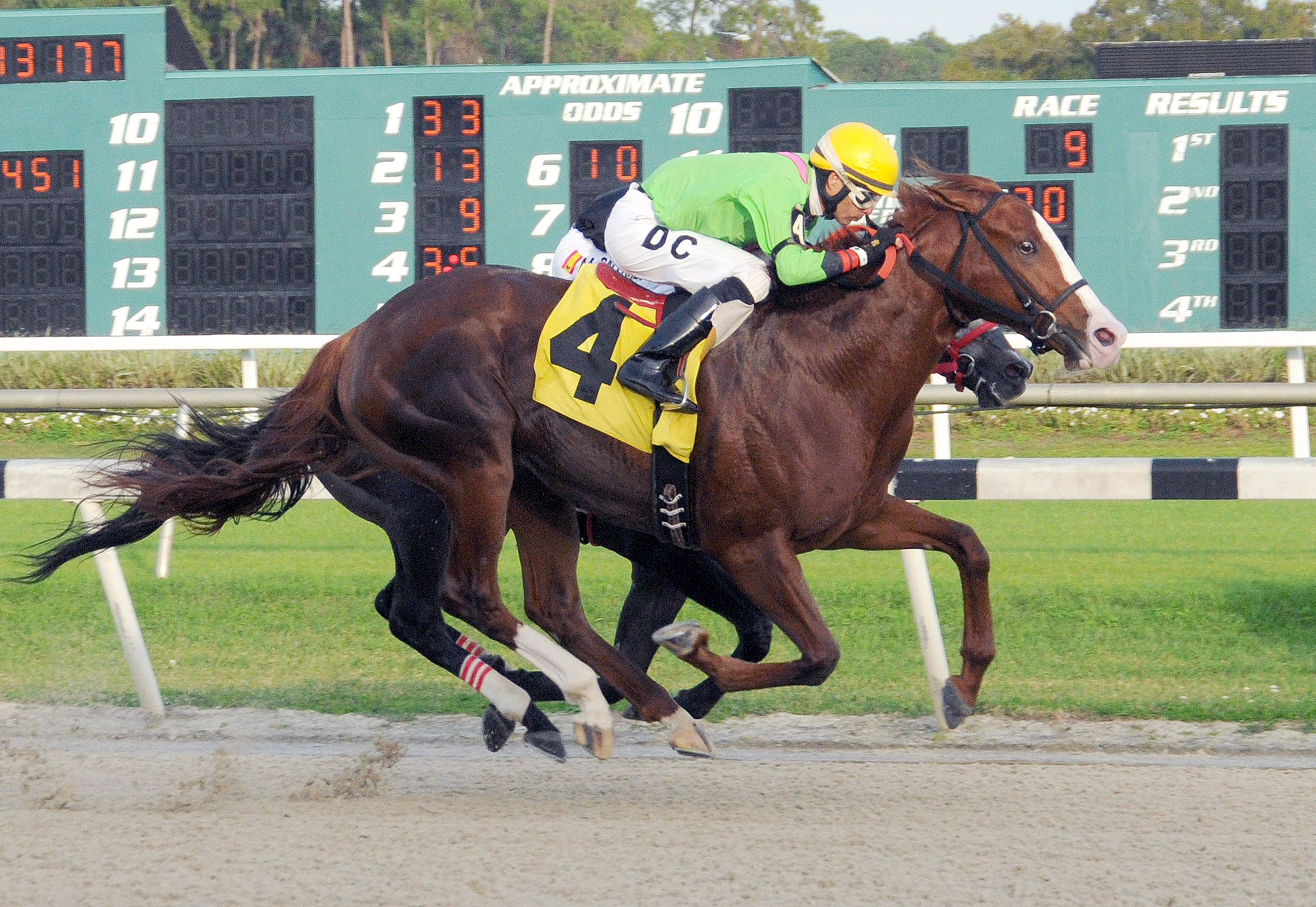 Catalina Red wins the Pasco Stakes