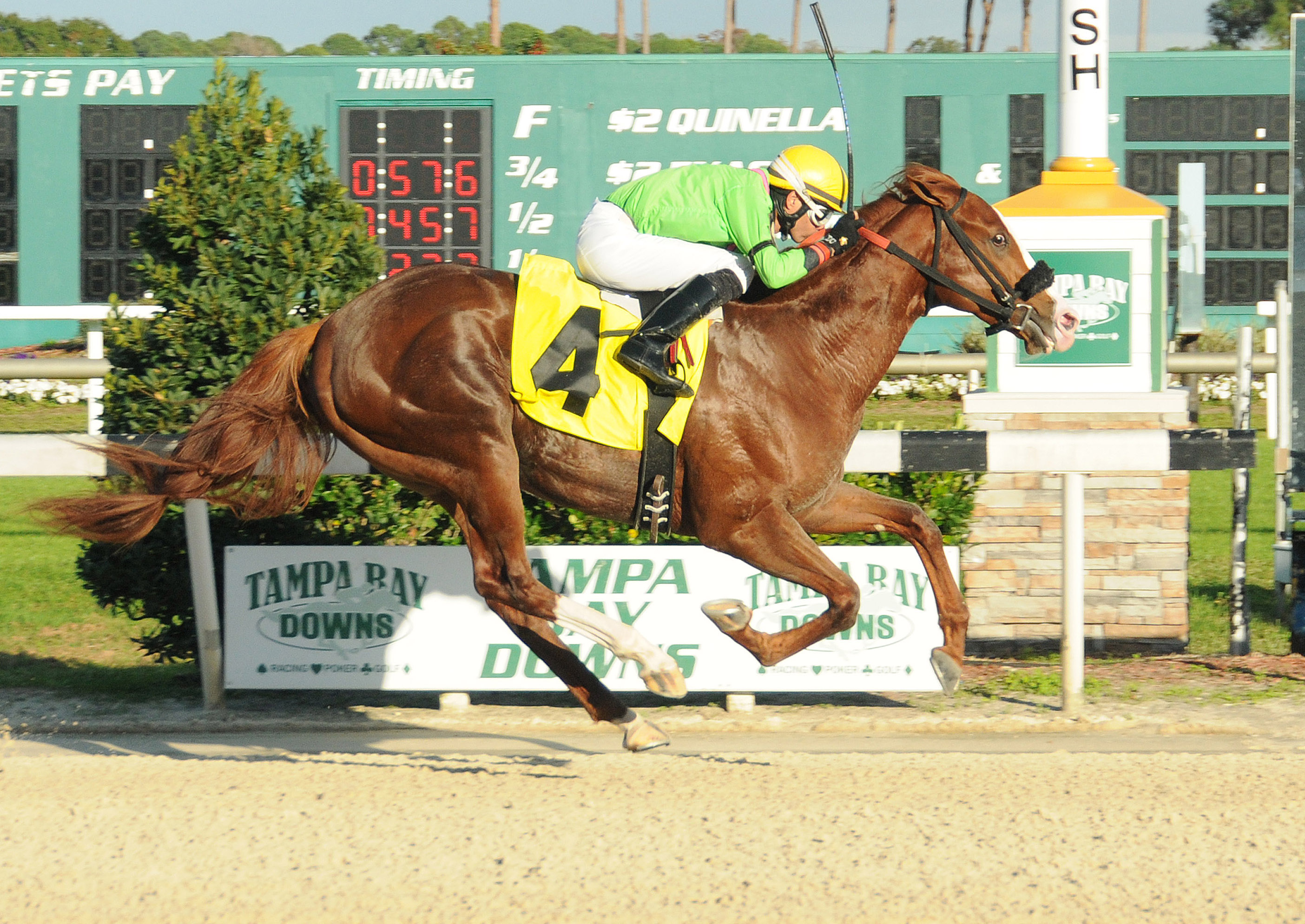 Catalina Red wins the Inaugural Stakes