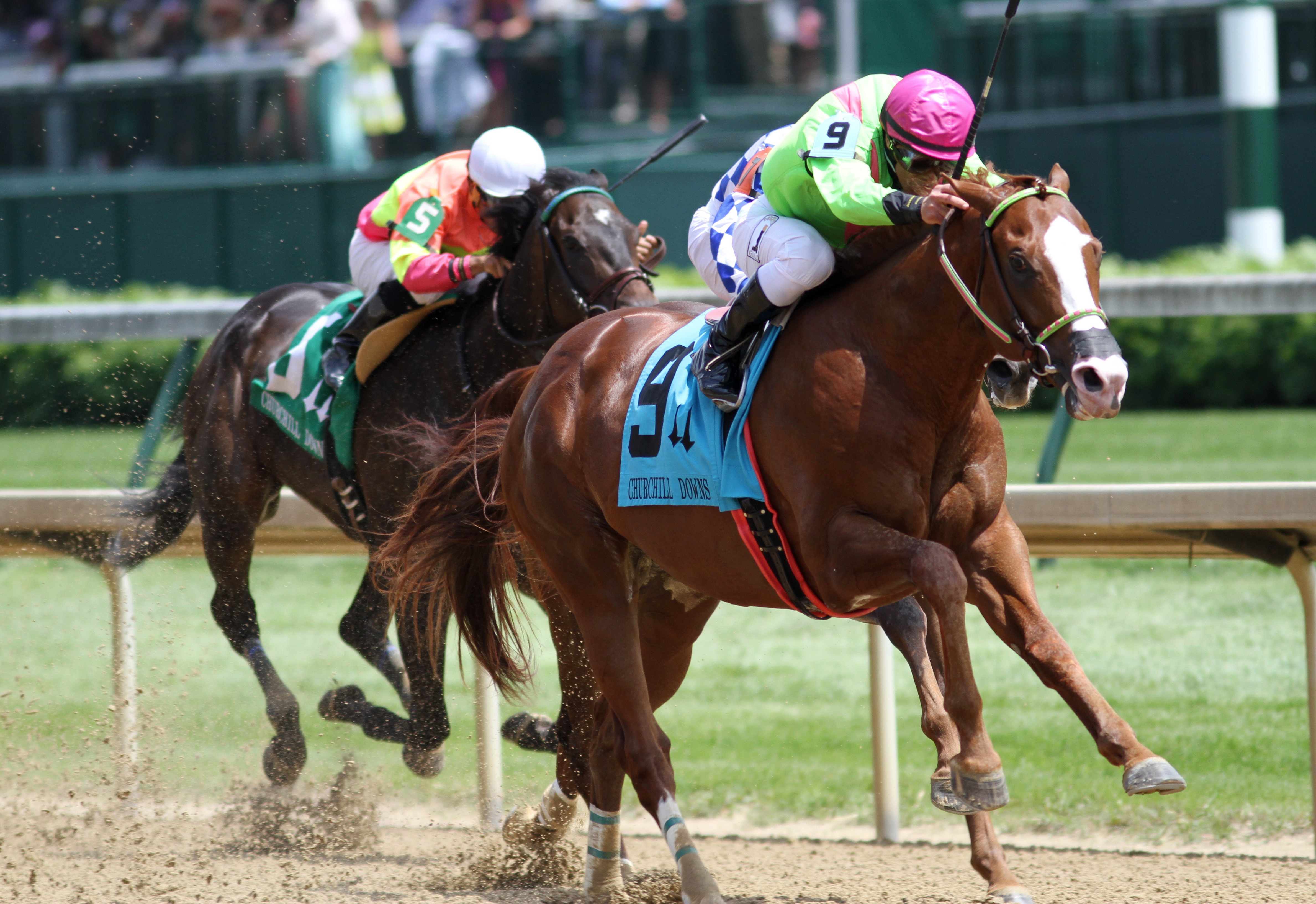 Catalina Red wins the Churchill Downs Stakes