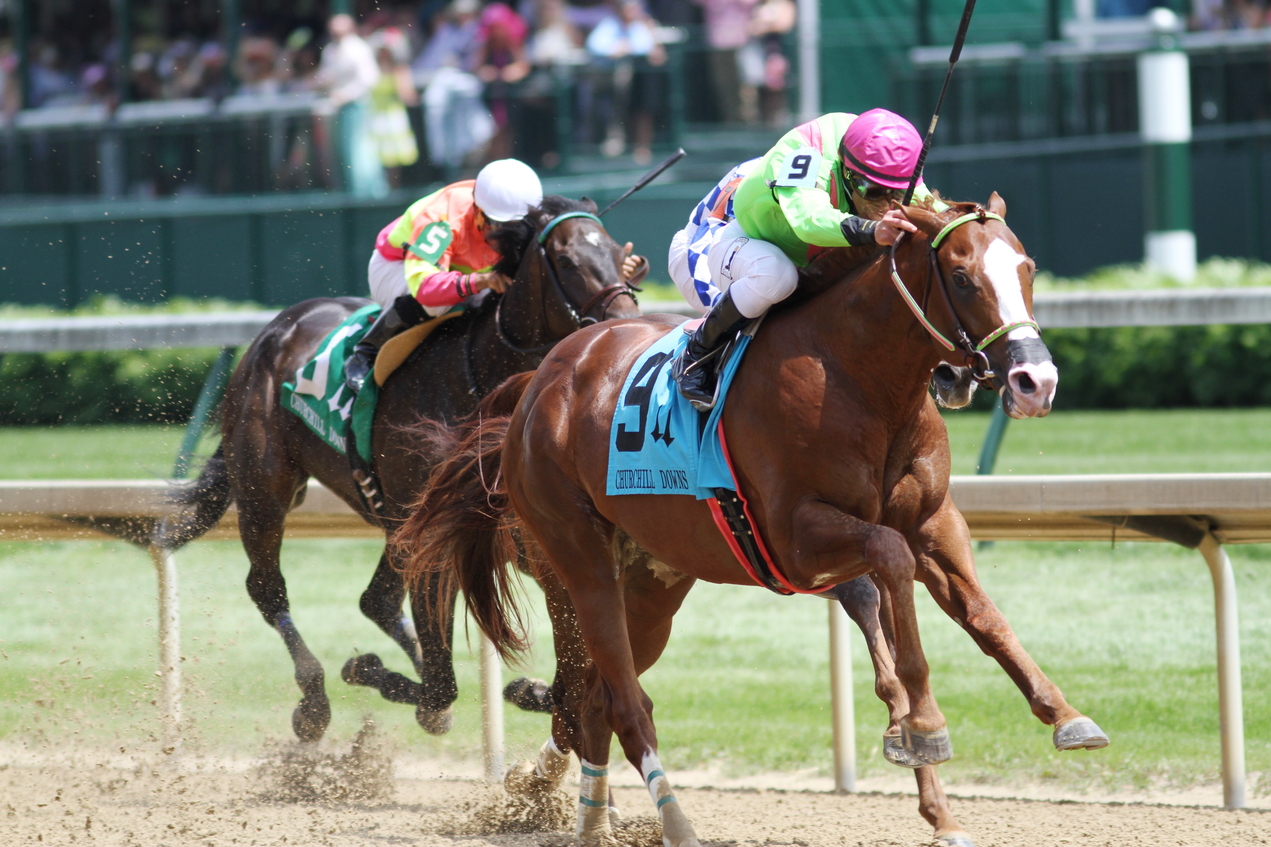 Catalina Red wins the Churchill Downs Stakes