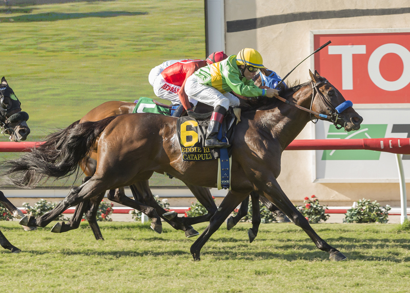 Catapult wins 2018 Eddie Read Stakes