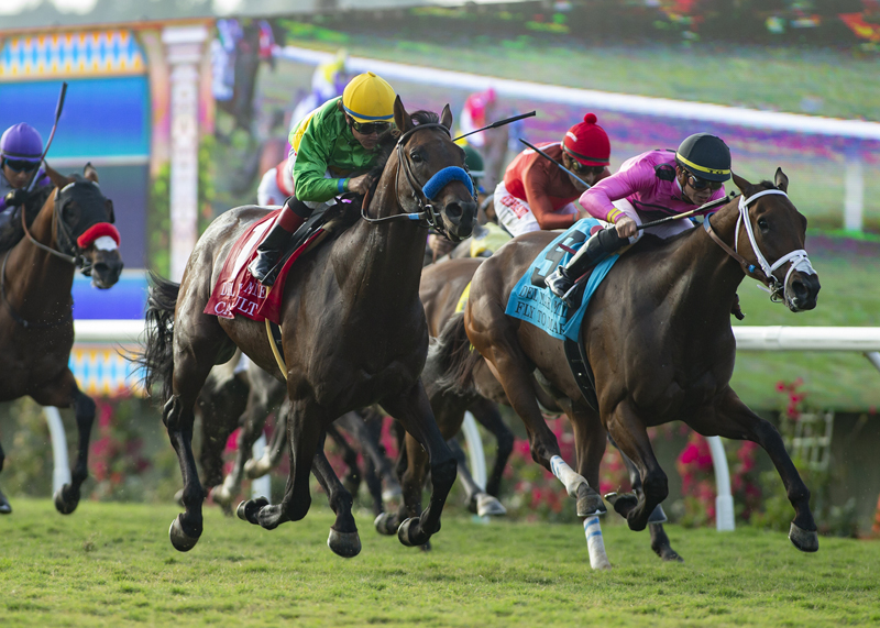 Catapult wins 2018 Del Mar Mile