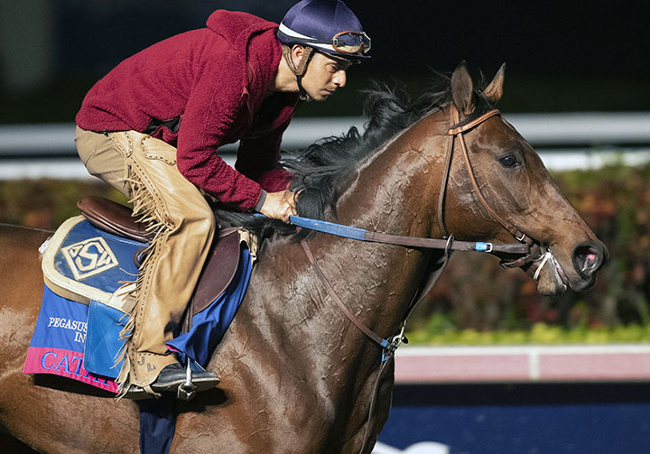 Catapult trains at Gulfstream on Jan. 23