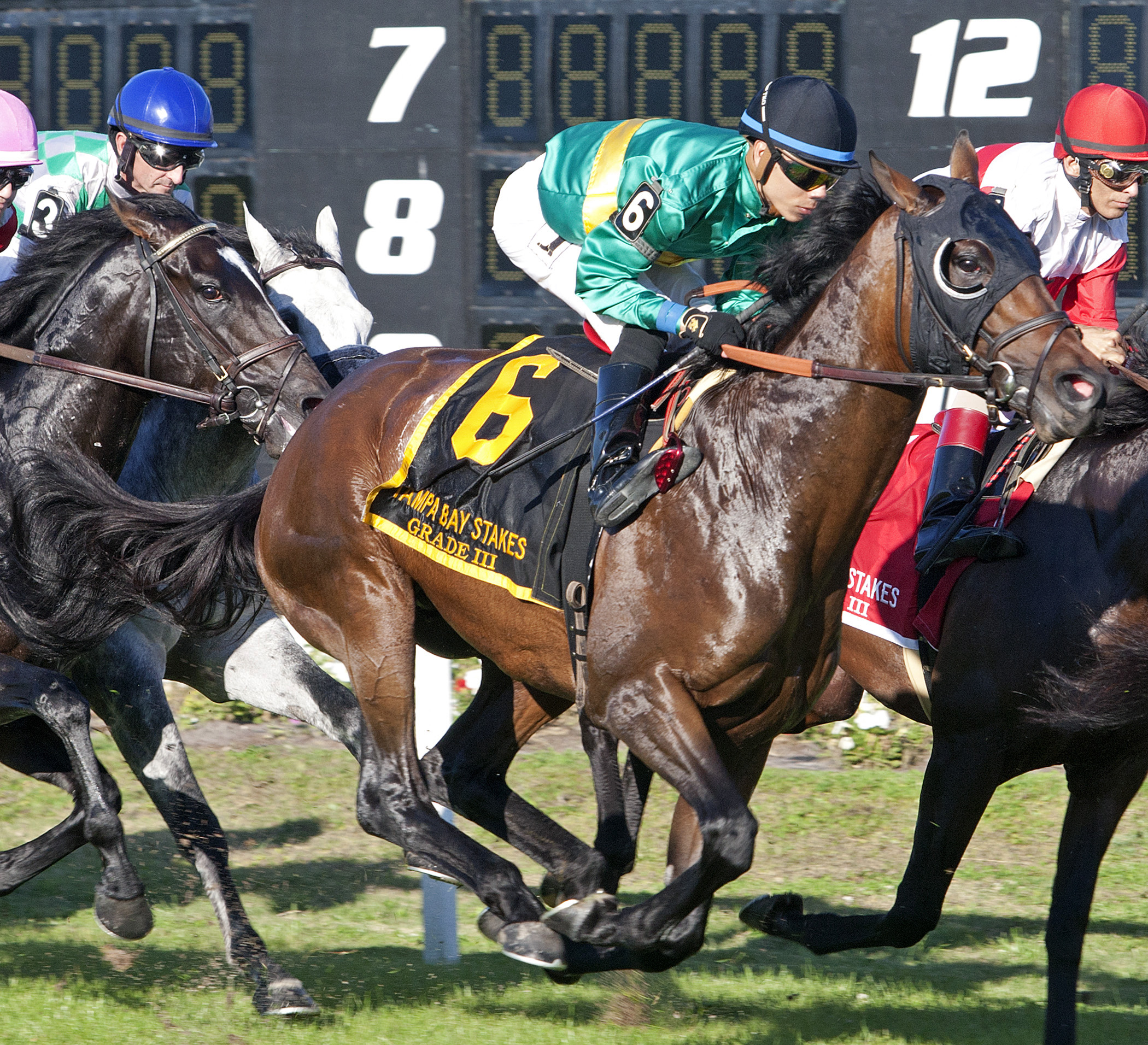 Catapult finishes fourth in the Tampa Bay Stakes