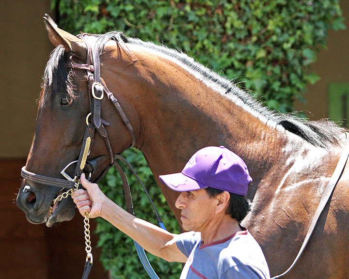 Catapult at Del Mar on July 20, 2019